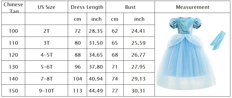 Girl Fancy Birthday Party Cinderella Ball Gown with Gloves Embroidery Floral Puffy Kids Princess Party Dress Fairy Glass Slipper