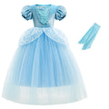 Girl Fancy Birthday Party Cinderella Ball Gown with Gloves Embroidery Floral Puffy Kids Princess Party Dress Fairy Glass Slipper